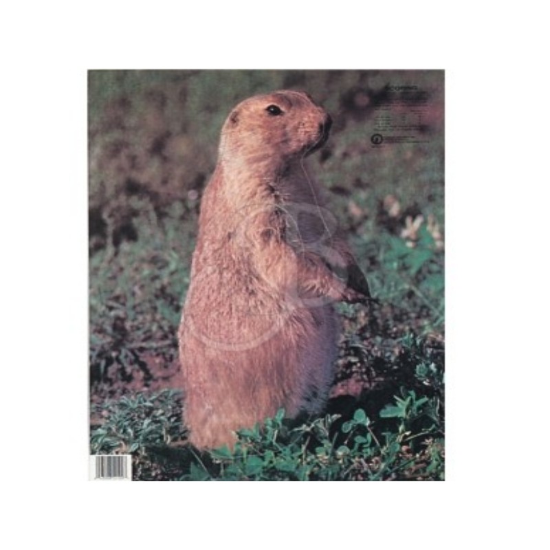Blason Animalier MARTIN - Birdy