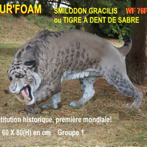 3D NATURFOAM Tigre à Dent de Sabre
