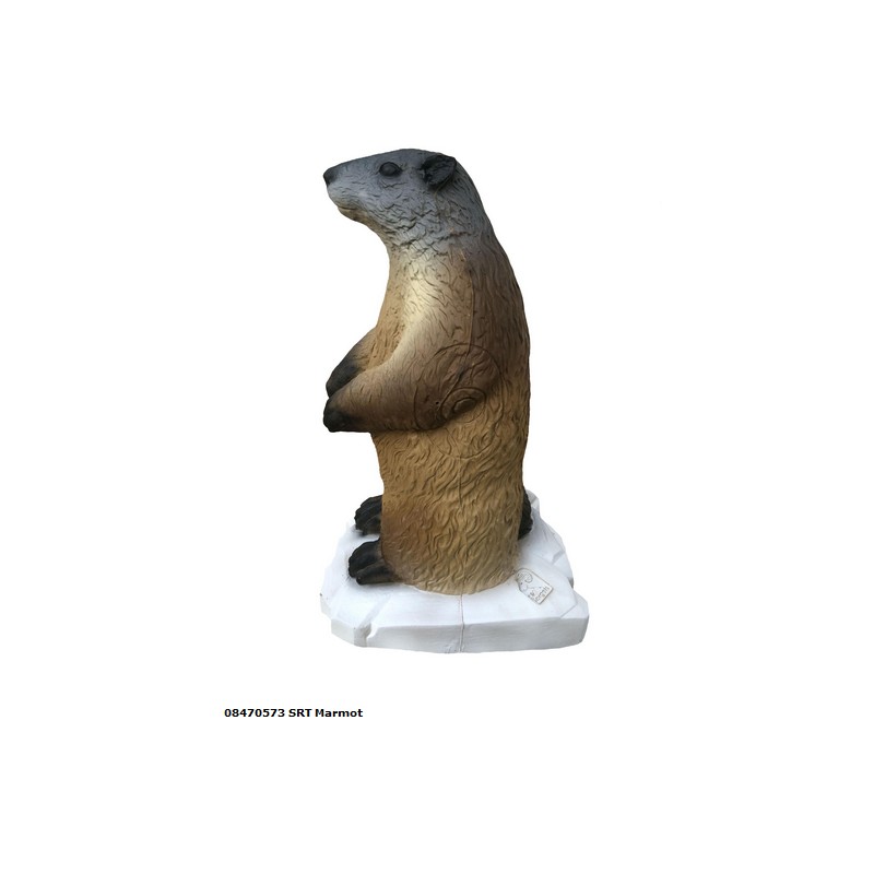 3D SRT - Marmotte
