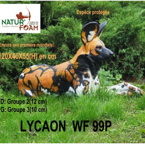 3D NATURFOAM - Lycaon